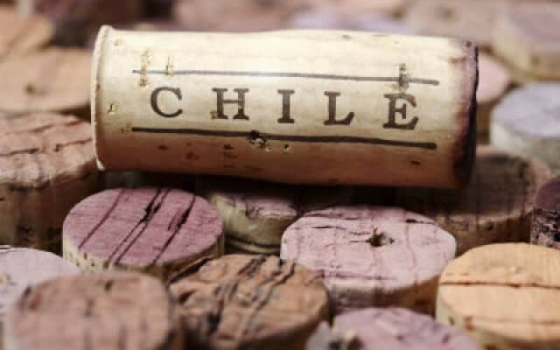 Розовое вино Чили