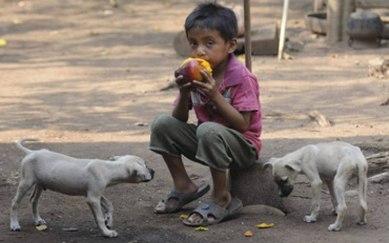 Бедность в Латинской Америке