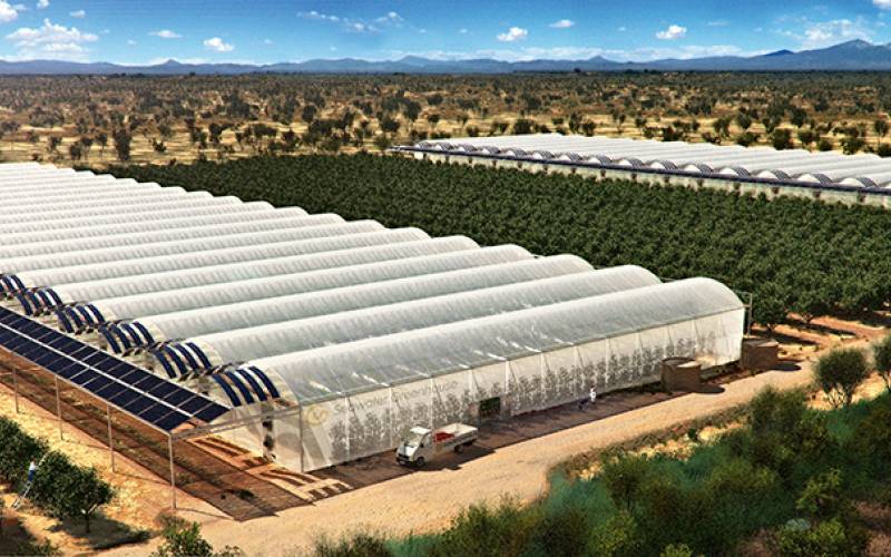 Экокластер, vigiljournal.com