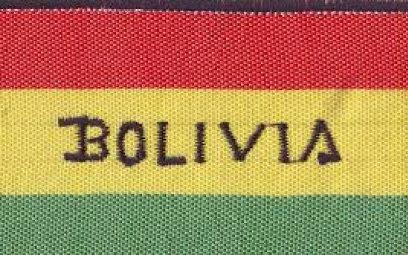 Выборы в Боливии, vigiljournal.com