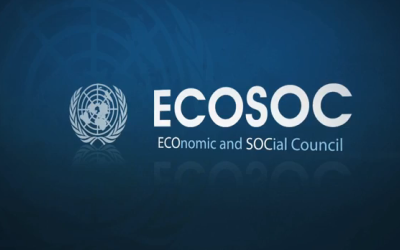 ECOSOC, vigiljournal.com