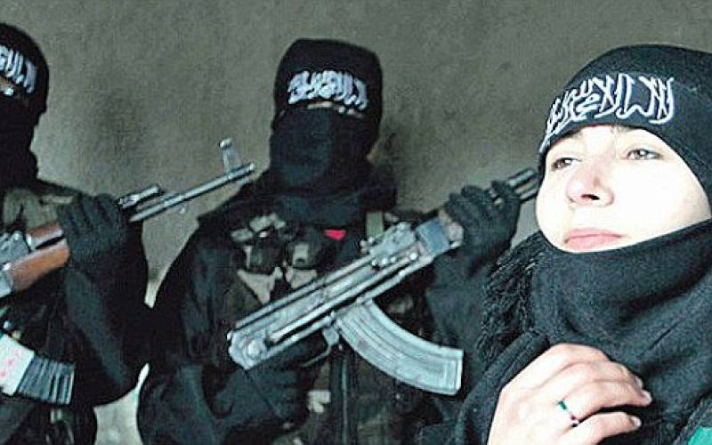 терроризм, vigiljournal.com