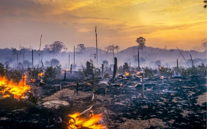 Повышение температуры в Латинской Америке, vigiljournal.com