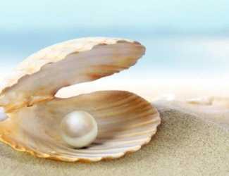 Жемчуг острова Маргарита